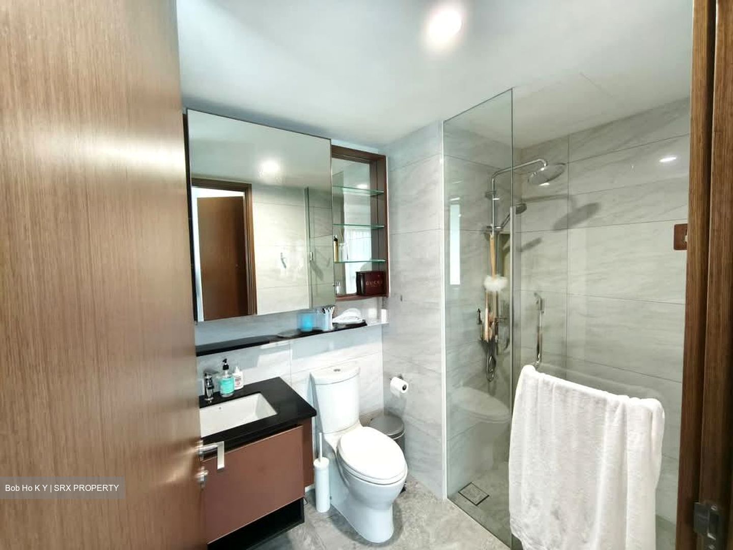 Normanton Park (D5), Apartment #540684141